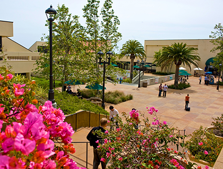 Pepperdine University | 10-17*