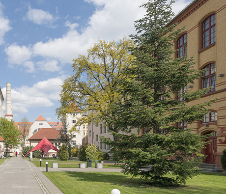 Berlin College | 16-18*