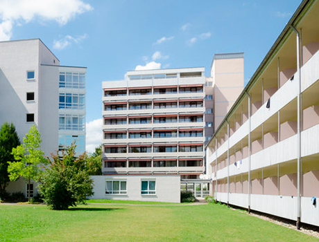 Humboldt–Institut