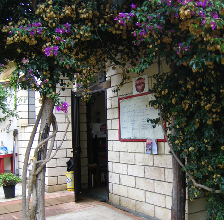 Language Courses