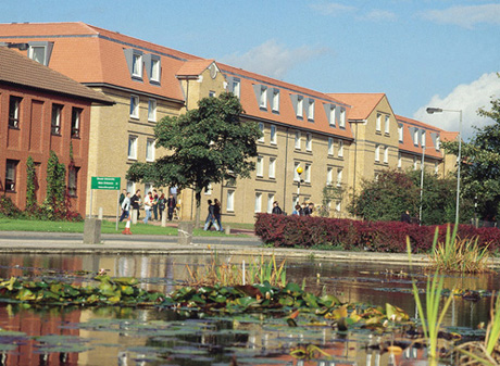 Pre-University
