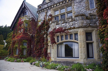 Un pas in lumea Business-ului- Royal Roads University