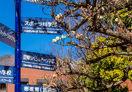 Новости образования/Știri Principale