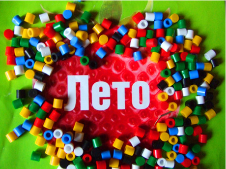 Новости образования/Știri Principale