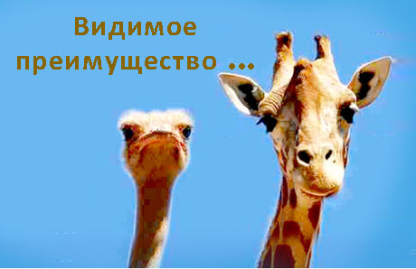 The Financial Times опубликовала новый рейтинг программ Full-Time MBA.