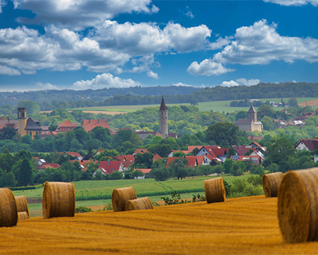 SCHOOL IMMERSION PROGRAM IN GERMANY!