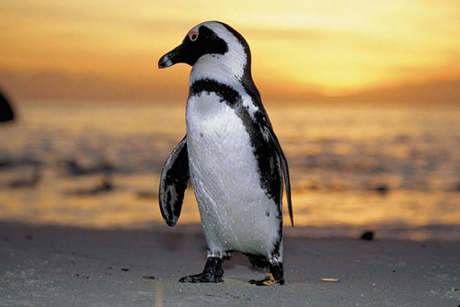 Новости образования/Știri Principale