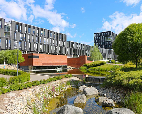 University of Oslo