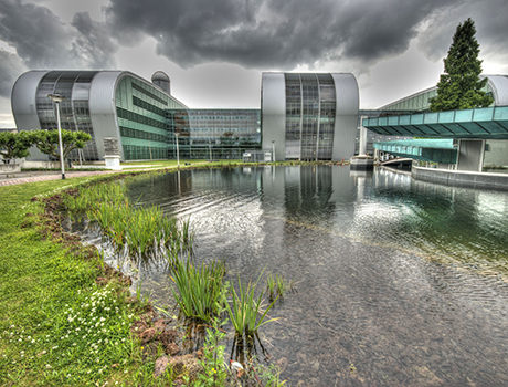 University